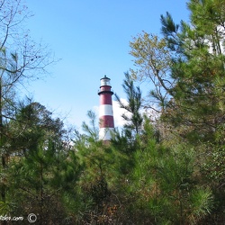 Assateague Island, Virginia