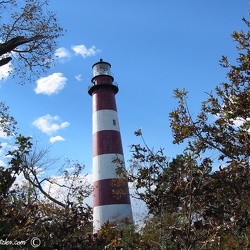 Assateague Island, Virginia