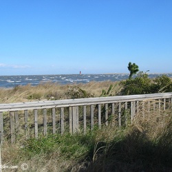 Delaware Breakwater East End, Delaware