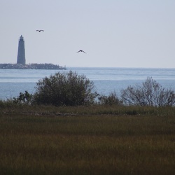 New Point Comfort, Virginia