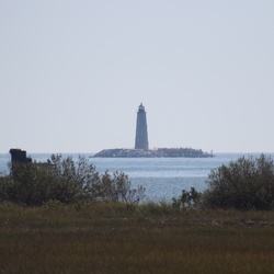 Virginia