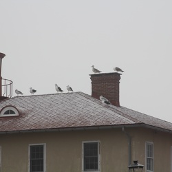 Point Lookout, Maryland
