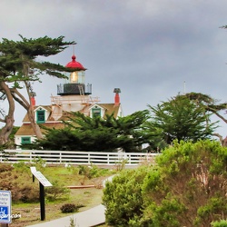 Point Pinos, California
