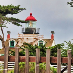 Point Pinos, California