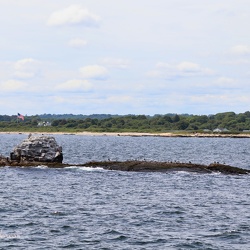 Whale Rock Lighthouse