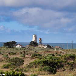 Piedras Blancas, California