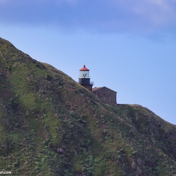 Point Sur,California