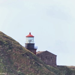 Point Sur,California