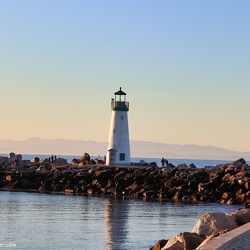 Santa Cruz Breakwater(Walton), California