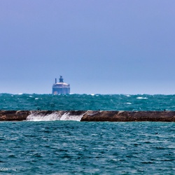 Wilson Avenue Crib, Chicago Illinois