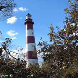 Virginia