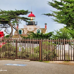 Point Pinos, California