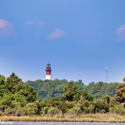 Assateague Island, Virginia